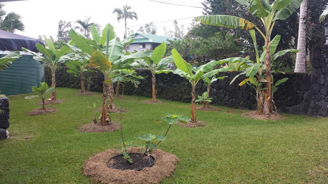 Robbrecht Troost Pottery Villa Pahoa Buitenkant foto